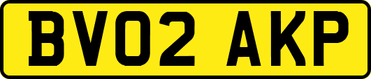 BV02AKP