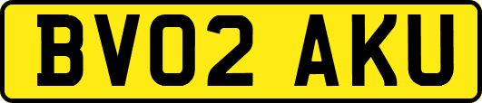 BV02AKU