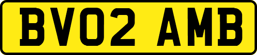 BV02AMB