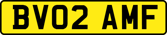 BV02AMF