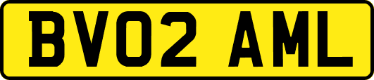 BV02AML