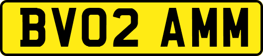BV02AMM
