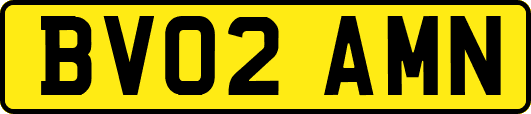 BV02AMN