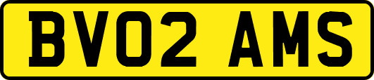 BV02AMS