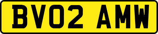 BV02AMW