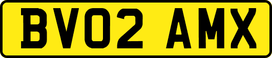 BV02AMX