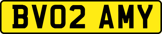 BV02AMY