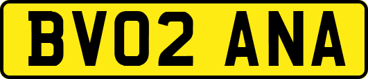 BV02ANA