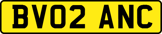 BV02ANC