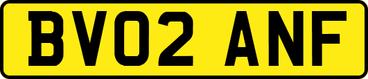 BV02ANF