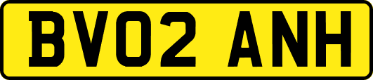 BV02ANH
