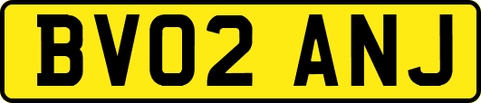 BV02ANJ