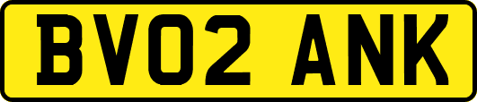 BV02ANK