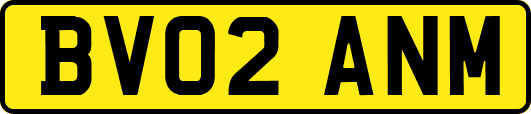 BV02ANM