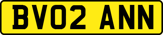 BV02ANN