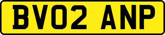 BV02ANP