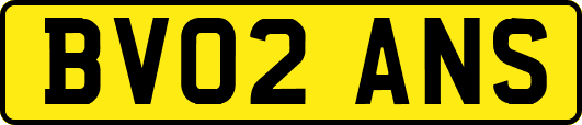 BV02ANS