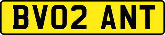 BV02ANT