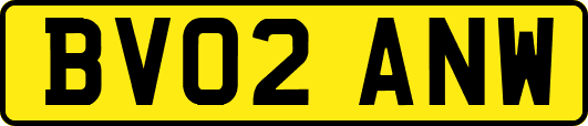 BV02ANW
