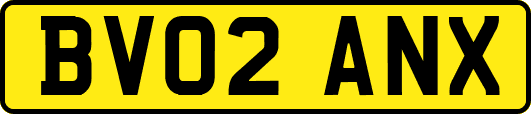 BV02ANX