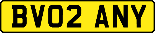BV02ANY