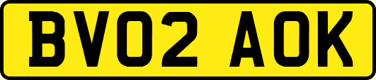BV02AOK