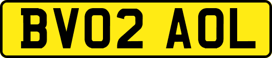 BV02AOL