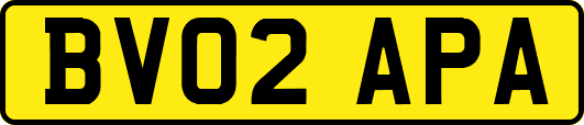 BV02APA