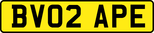 BV02APE