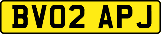 BV02APJ