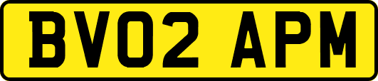 BV02APM