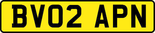 BV02APN
