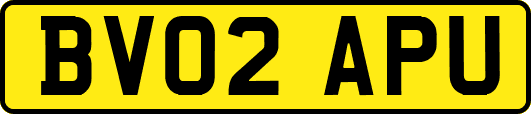 BV02APU