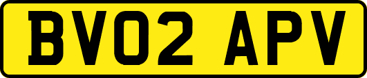 BV02APV