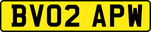 BV02APW