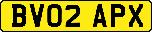 BV02APX