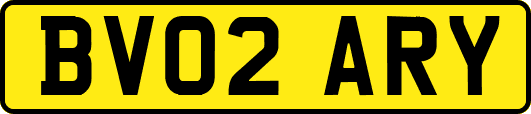 BV02ARY