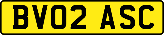 BV02ASC