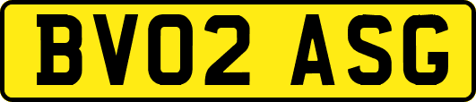 BV02ASG
