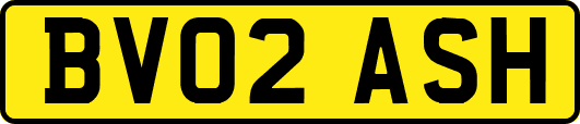 BV02ASH