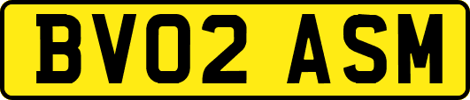 BV02ASM