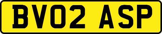 BV02ASP