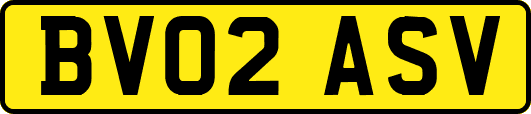 BV02ASV