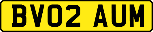 BV02AUM