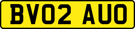 BV02AUO