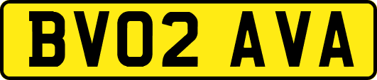 BV02AVA