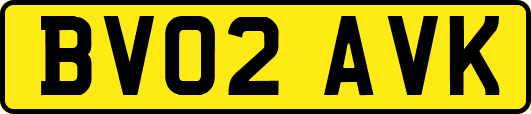 BV02AVK