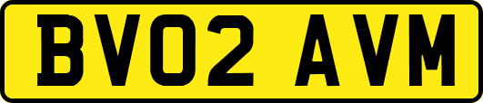 BV02AVM