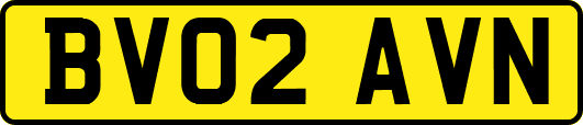BV02AVN
