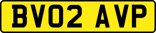 BV02AVP